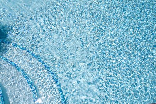 Choose To Be Happy at Argyle Apt #3 - 1-BR w Pool, Kingston (zdjęcie 4)