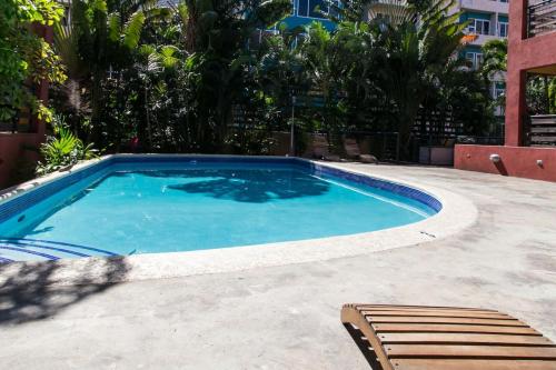 Choose To Be Happy at Argyle Apt #3 - 1-BR w Pool, Kingston (zdjęcie 5)