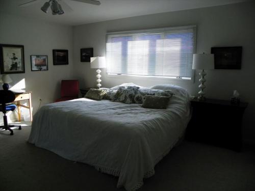 5 Bedrooms On Private Lane! in Loveladies, USA