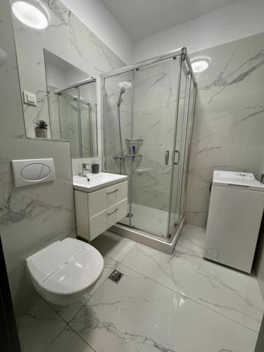 Lazar Studio Apartment - Palas Center, Яссы (фото 2)