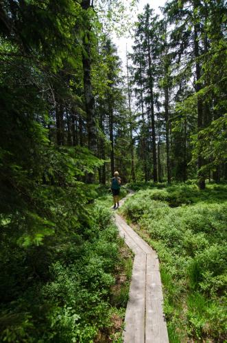 StayZen Holz & Hirsch Deluxe Hideaway zentral mit Parkplatz StayZen Holz & Hirsch Deluxe Hideaway zentral mit Parkplatz