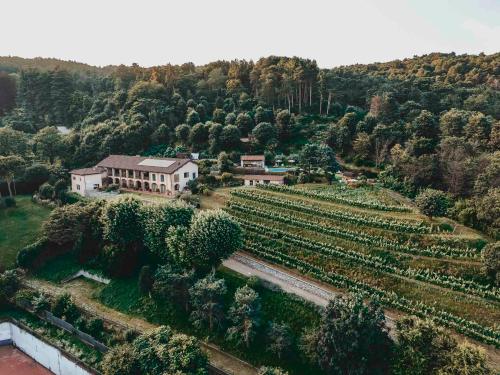 Tenuta Ronco Regio 4