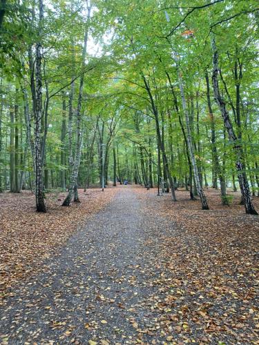 Noclegi Apartament Jodłowa (Noclegi Apartament Jodlowa) in Gorki Zachodnie