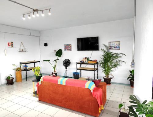 Flat Apartment in Downtown Xalapa Veracruz, Xalapa (foto 8)