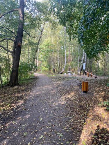 Noclegi Apartament Jodłowa (Noclegi Apartament Jodlowa) in Gorki Zachodnie