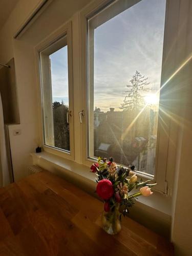 New tiny studio 2 near Uni & Hospital, Basilea (foto 4)