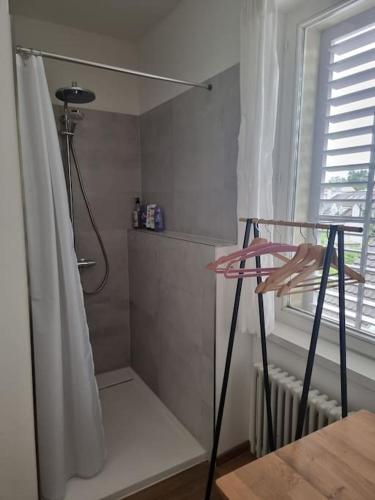 New tiny studio 2 near Uni & Hospital, Basilea (foto 7)