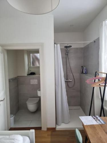 New tiny studio 2 near Uni & Hospital, Basilea (foto 6)