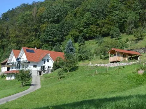 Roth Comfortable Holiday Residence in Oppenau, Deutschland
