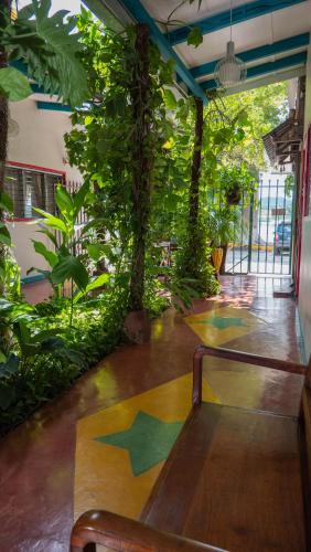 숙소 외관, Hotel Petenchel in 플로레스