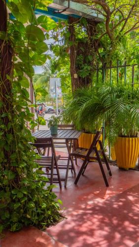 레스토랑, Hotel Petenchel in 플로레스