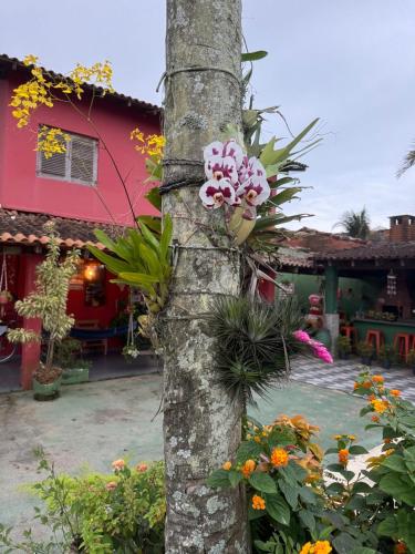 Hostel Casa Jambo Guaruja in กวารุจ้า