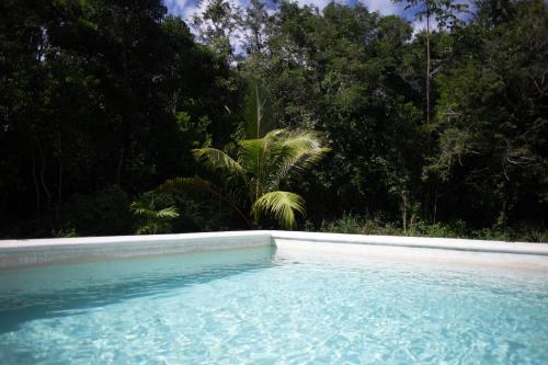 Ama-gi Holistic in Puerto Morelos, Mexico