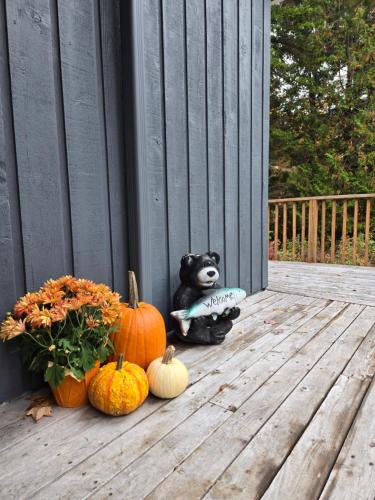 Viesnīcas āriene, Rustic Hideaway in Quispamsis (NB)