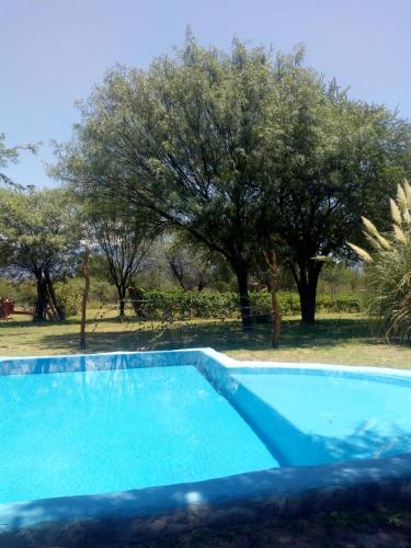 . Campo Domingo