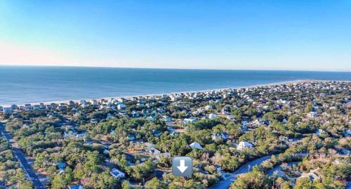 Pink Paradise Pink Paradise