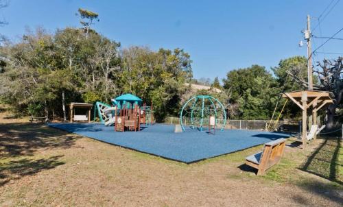 Pink Paradise Pink Paradise