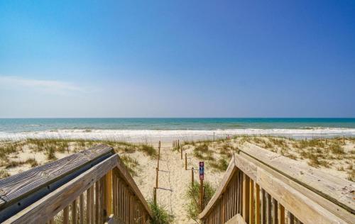 Pink Paradise Pink Paradise