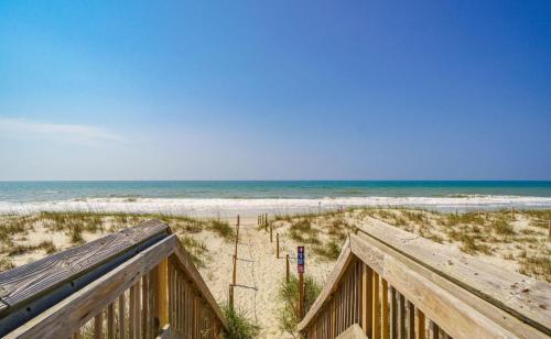 Pink Paradise Pink Paradise