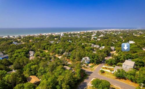 Pink Paradise Pink Paradise