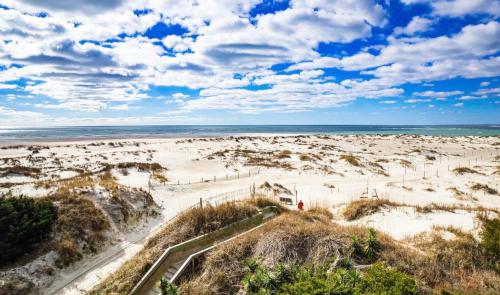 Pink Paradise Pink Paradise