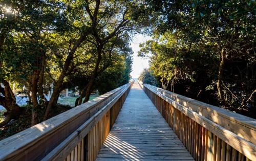 Pink Paradise Pink Paradise