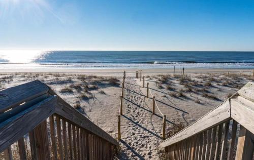 Pink Paradise Pink Paradise