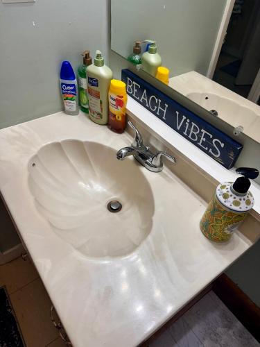 Pink Paradise Pink Paradise