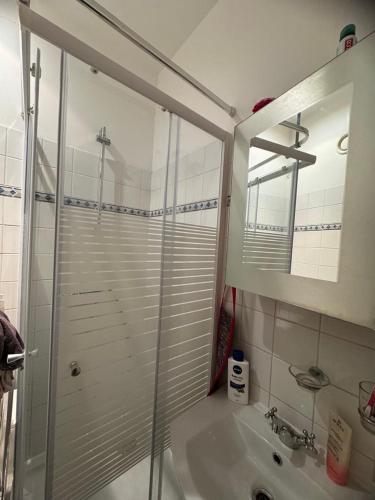 B&B appartement, Брюссель (фото 3)