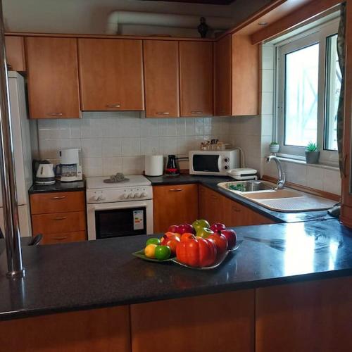 ห้องครัว, Villa Lena Megalopoli in มัลโลตา