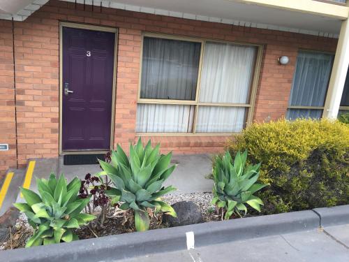 外部景觀, 埃森頓汽車旅館 (Essendon Motel) in 埃森登