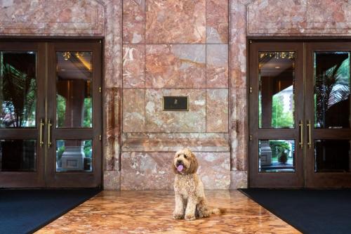 606149474 The Ritz-Carlton, St. Louis