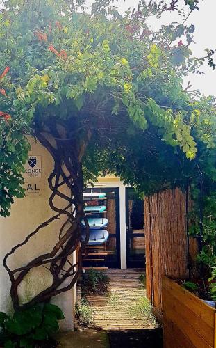 สวน, Conde Surf Camp - Capsule Beds FEMALE Dorm in วิลลา โด คอนเด