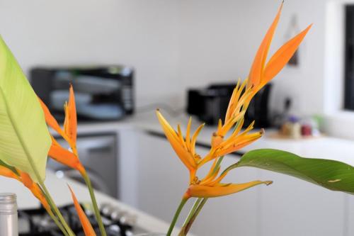 Into the Sun - Modern Holiday Home