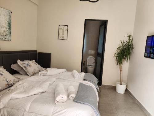 Apartament Tirana Contact, Tirana (photo 4)
