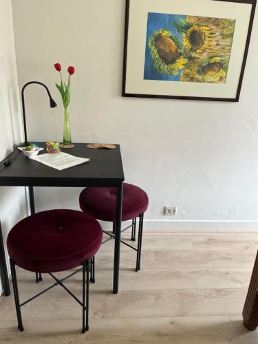 BeBaBops Homestay Utrecht, Utrecht (fotografie 9)