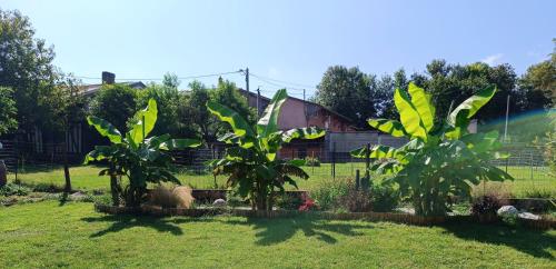 Charmante petite maison à la campagne gîte à louer Perthois