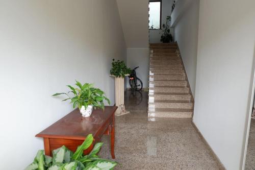 Affitti Brevi Monte Cairo in 皮耶迪蒙泰聖杰爾馬諾