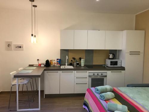 Ripamonti room Room Type - One-Bedroom Apartment