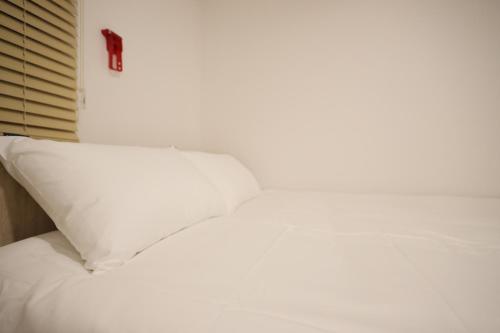 Manso Hostel in DDP - image 5