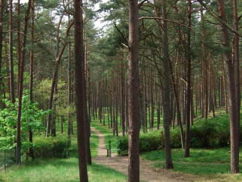 Holiday Home image 9