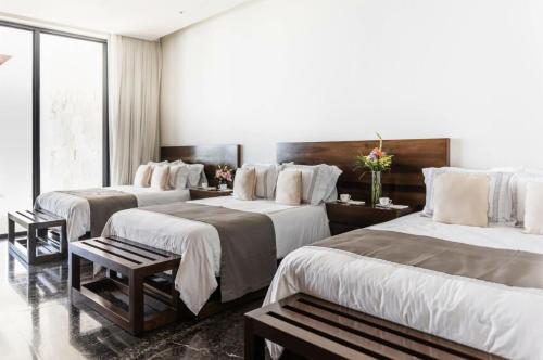 Exclusive Casa de Playa with Breakfast Included - Video Tour in Puerto Aventuras, Mexico