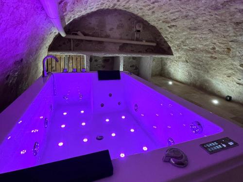 Pezsgőfürdő, Maison avec spa proche Giverny in Vetheuil (Ile-de-France)