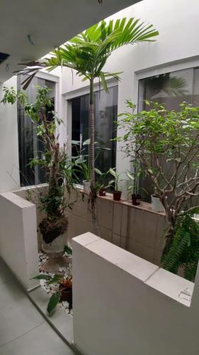 花園, Way Up Hostel in 特林達迪