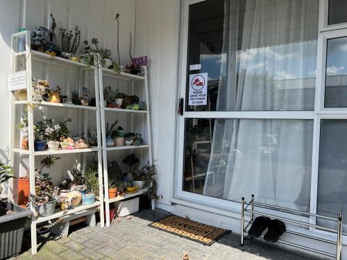 LA SOL - ensuite & seperate entrance - close to uni, Hamilton (photo 8)