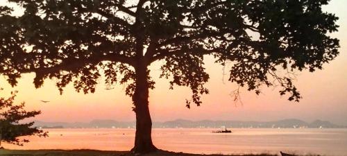 Quarto Privado Cama Casal ou Individual Aeroporto in 戈韋納多島