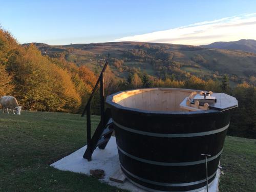 Ferma Grozea in Rosia Montana