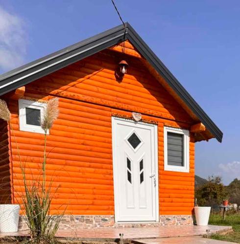 Standard Triple Studio