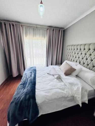 Grey shade Grey shade