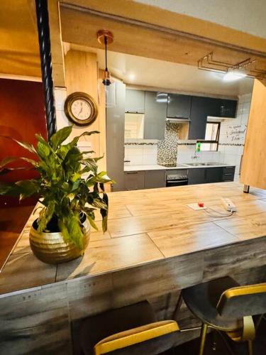 Grey shade Grey shade